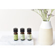 Home Detox Eteriska Oljor